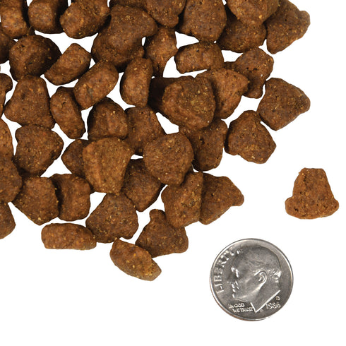 Fromm Four-Star Dry Dog Food - Rancherosa - 12lb Bag